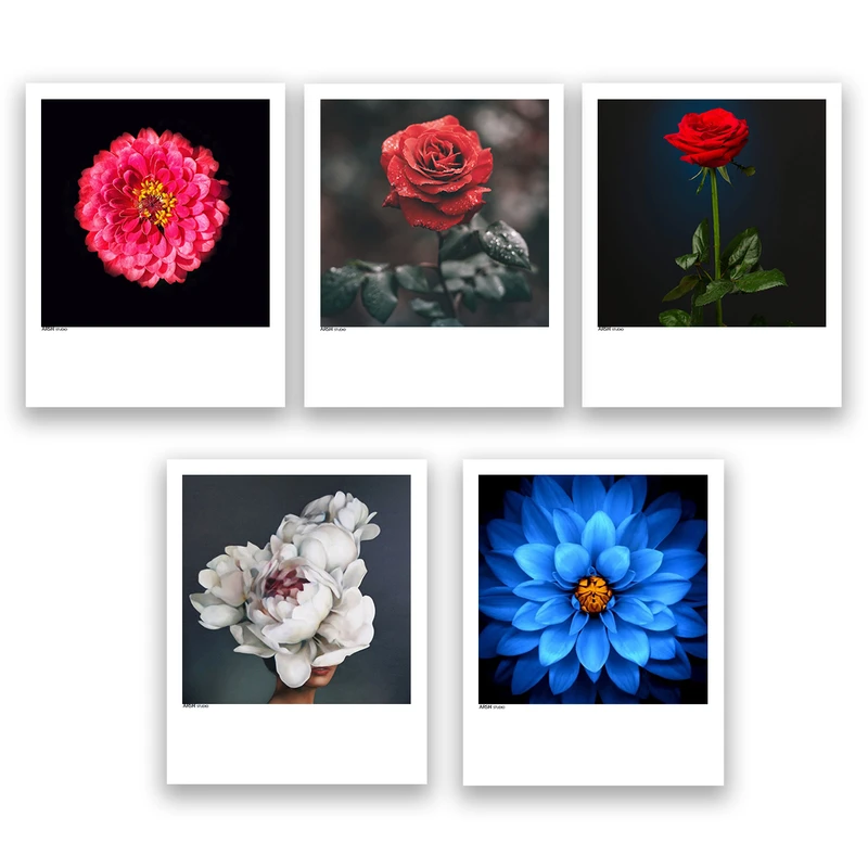 آویز تزیینی عرش مدل فانتزی گل کد Asa106 مجموعه پنچ عددی