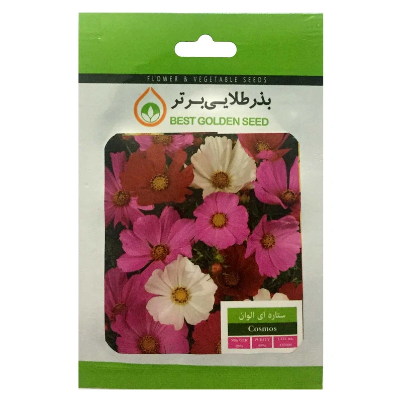 بذر گل ستاره ای الوان بذر طلایی برتر کد BZT-19