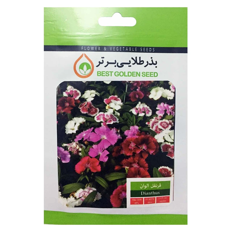 بذر گل قرنفل الوان بذر طلایی برتر کد BZT-23