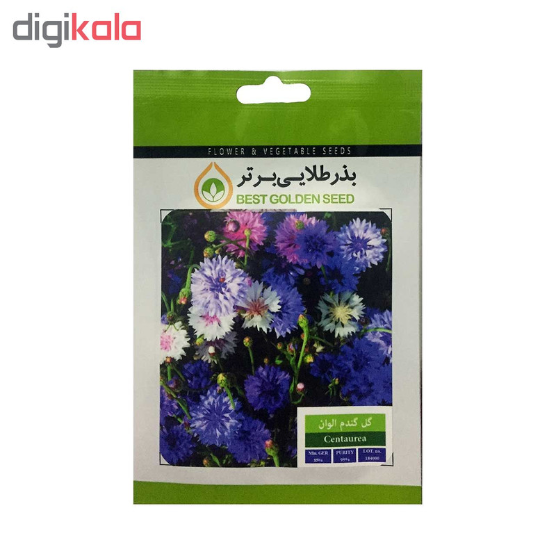 بذر گل گندم الوان بذر طلایی برتر کد BZT-29