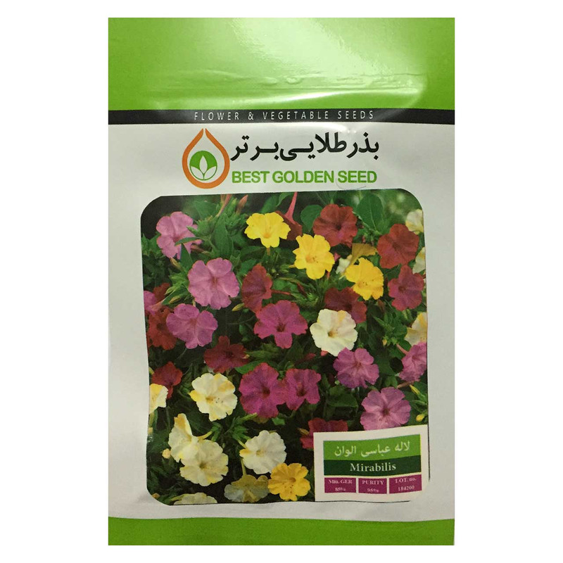 بذر گل لاله عباسی الوان بذر طلایی برتر کد BZT-31