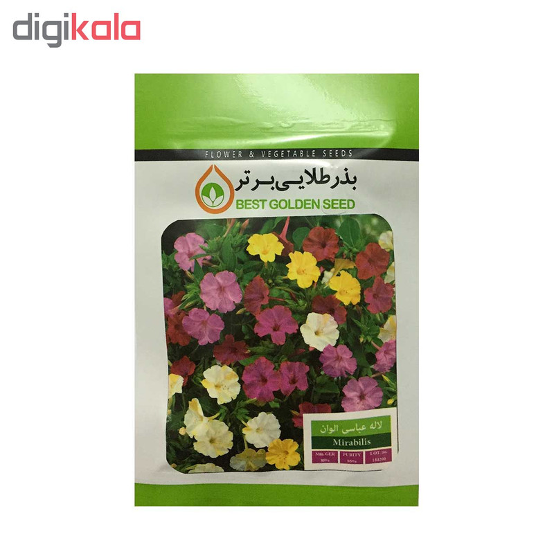 بذر گل لاله عباسی الوان بذر طلایی برتر کد BZT-31