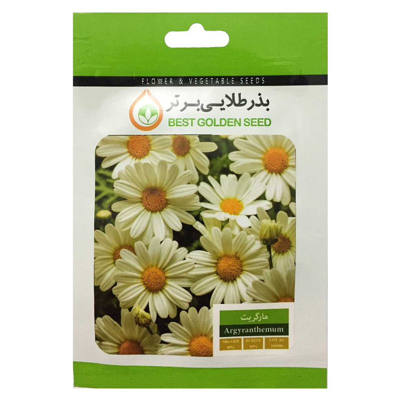 بذر گل مارگریت بذر طلایی برتر کد BZT-32