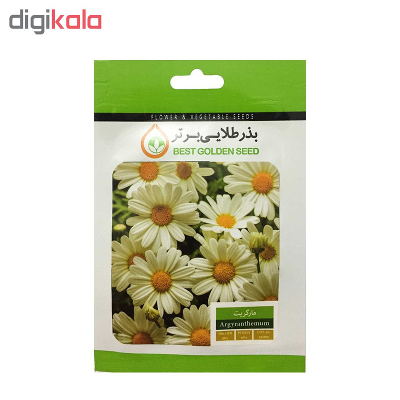 بذر گل مارگریت بذر طلایی برتر کد BZT-32