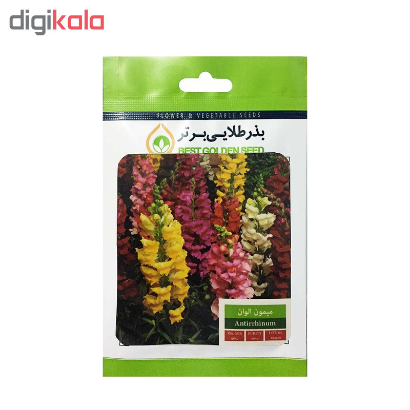 بذر گل میمون الوان بذر طلایی برتر کد BZT-33