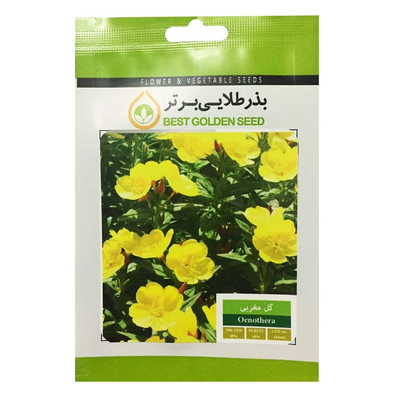 بذر گل مغربی بذر طلایی برتر کد BZT-35