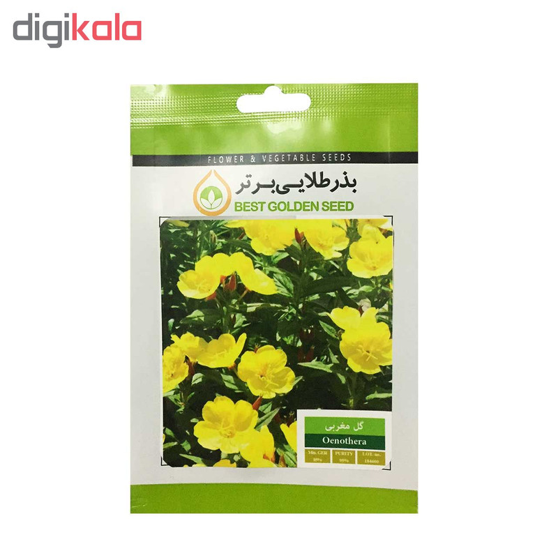 بذر گل مغربی بذر طلایی برتر کد BZT-35