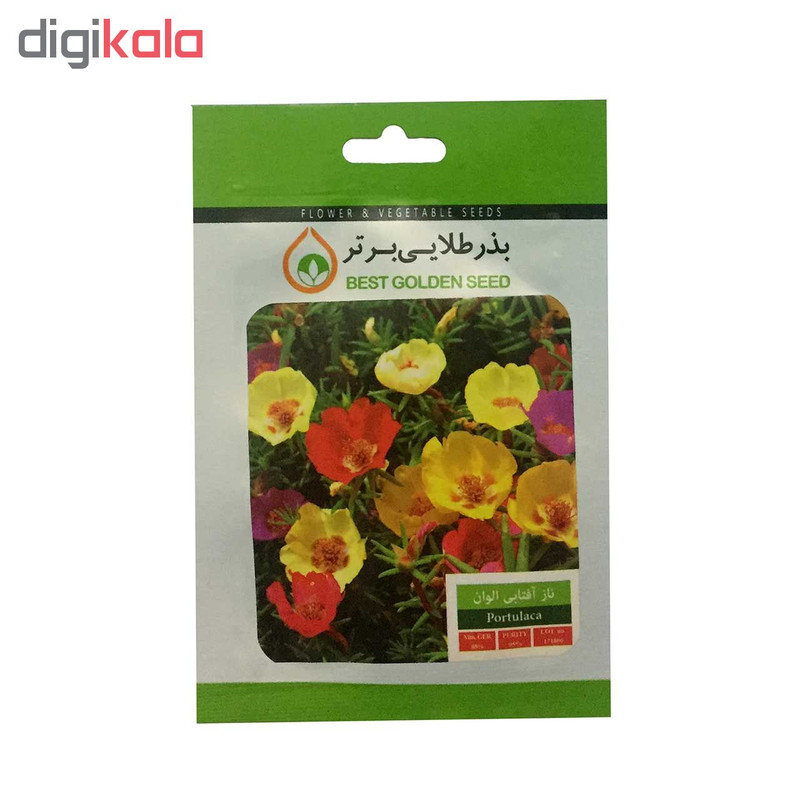 بذر گل ناز آفتابی الوان بذر طلایی برتر کد BZT-36