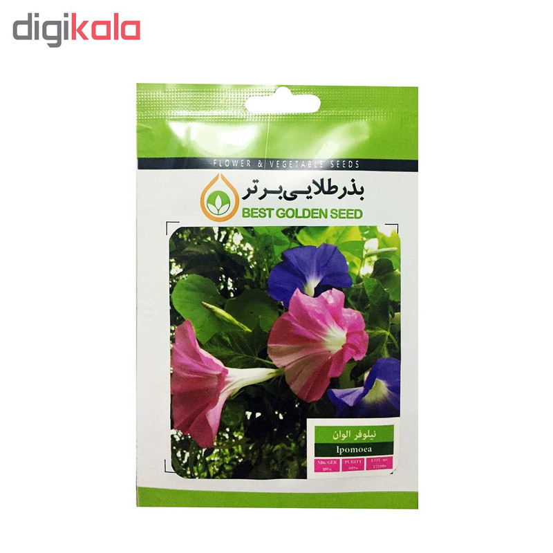 بذر گل نیلوفر الوان بذر طلایی برتر کد BZT-37