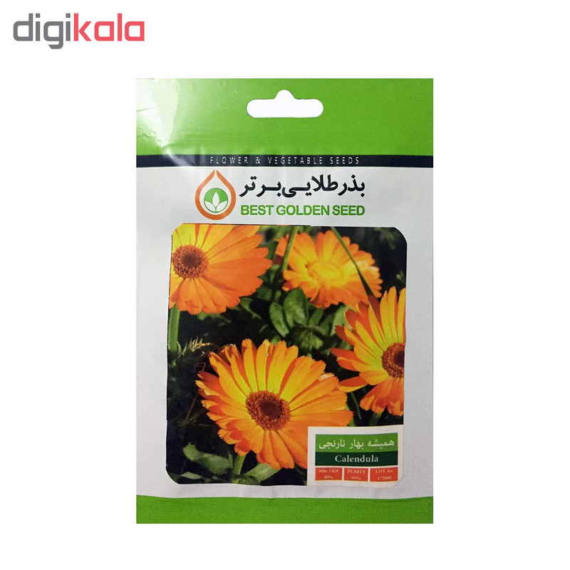 بذر گل همیشه بهار نارنجی بذر طلایی برتر کد BZT-38 بذر گل همیشه بهار نارنجی بذر طلایی برتر کد BZT-38