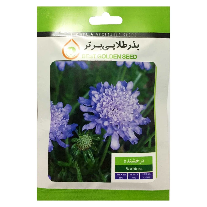بذر گل درخشنده بذر طلایی برتر کد BZT-40