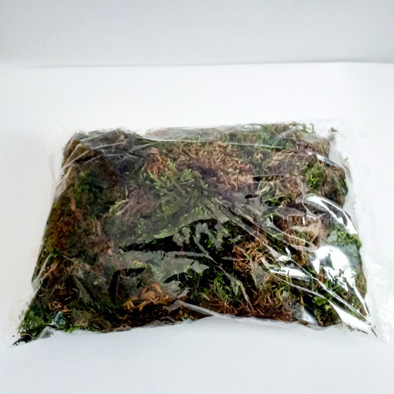 ماکت تزیینی مدل خزه گلدان کدA-1 وزن 50 گرم