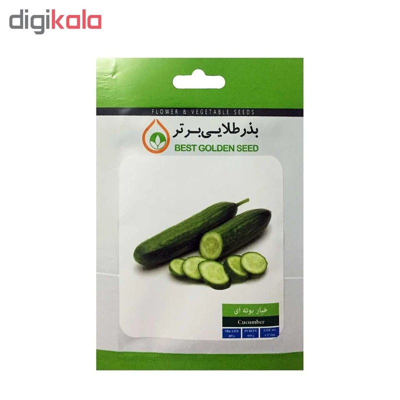 بذر خیار بوته ای بذر طلایی برتر کد BZT-53 عکس شماره 2