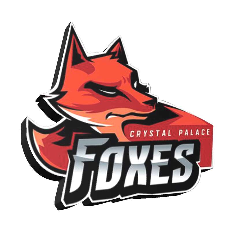 پیکسل مدل Fox01 پیکسل مدل Fox01