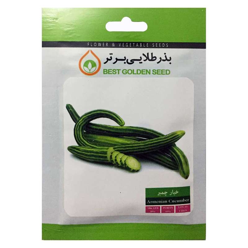 بذر خیار چمبر بذر طلایی برتر کد BZT-54 بذر خیار چمبر بذر طلایی برتر کد BZT-54
