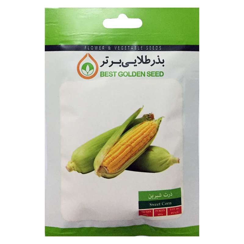 بذر ذرت شیرین بذر طلایی برتر کد BZT-57 بذر ذرت شیرین بذر طلایی برتر کد BZT-57