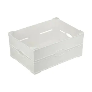 ارگانایزر مدل LP582