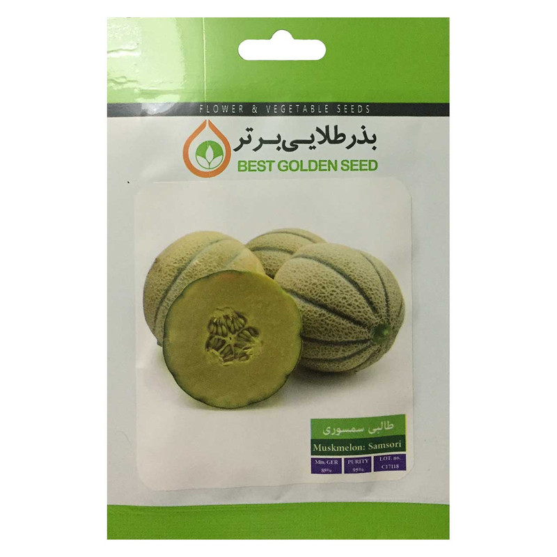 بذر طالبی سمسوری بذر طلایی برتر کد BZT-59