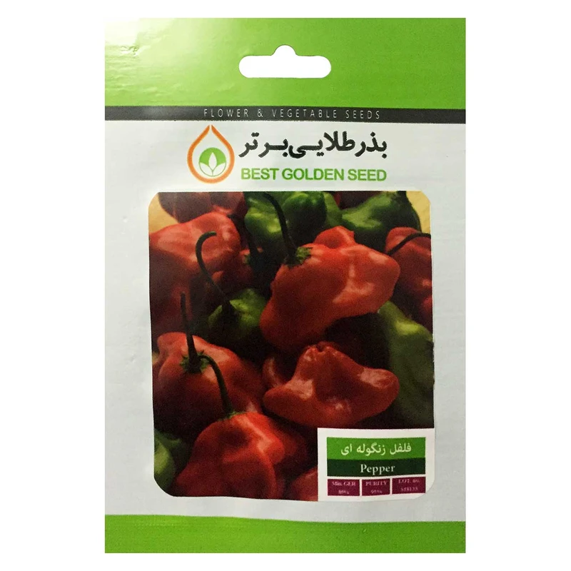 بذر فلفل زنگوله ای بذر طلایی برتر کد BZT-62