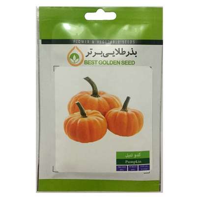 استفاده از کدو تنبل چه فوایدی دارد؟