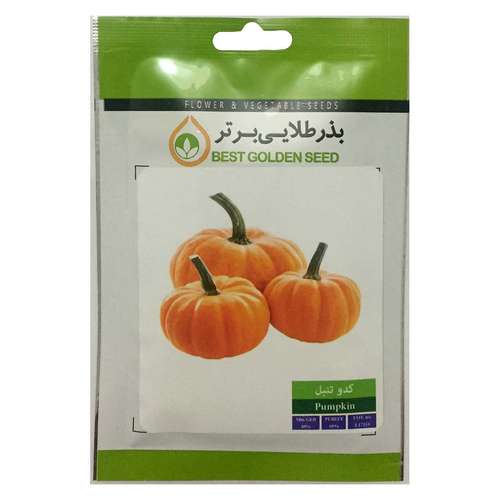 استفاده از کدو تنبل چه فوایدی دارد؟