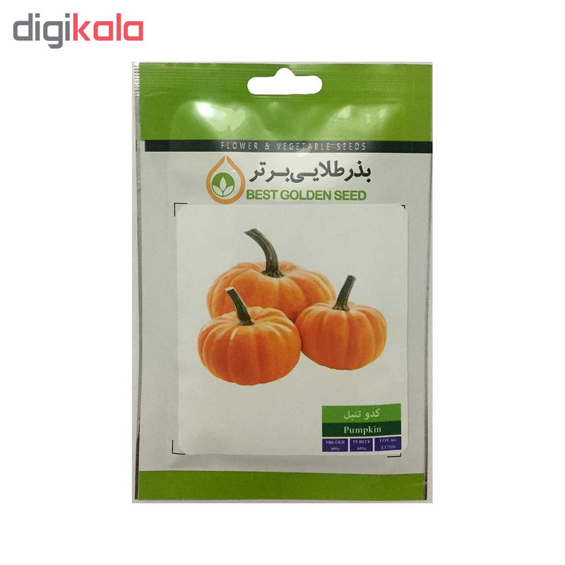 بذر کدو تنبل بذر طلایی برتر کد BZT-68