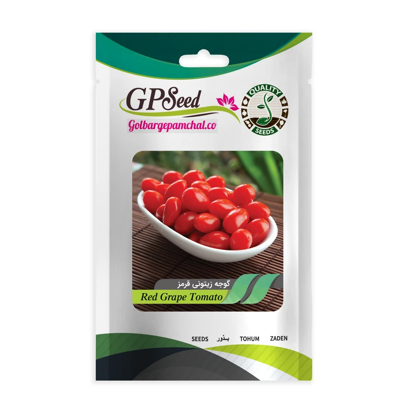 بذر گوجه چری زیتونی قرمز گلبرگ پامچال کد GPF-200