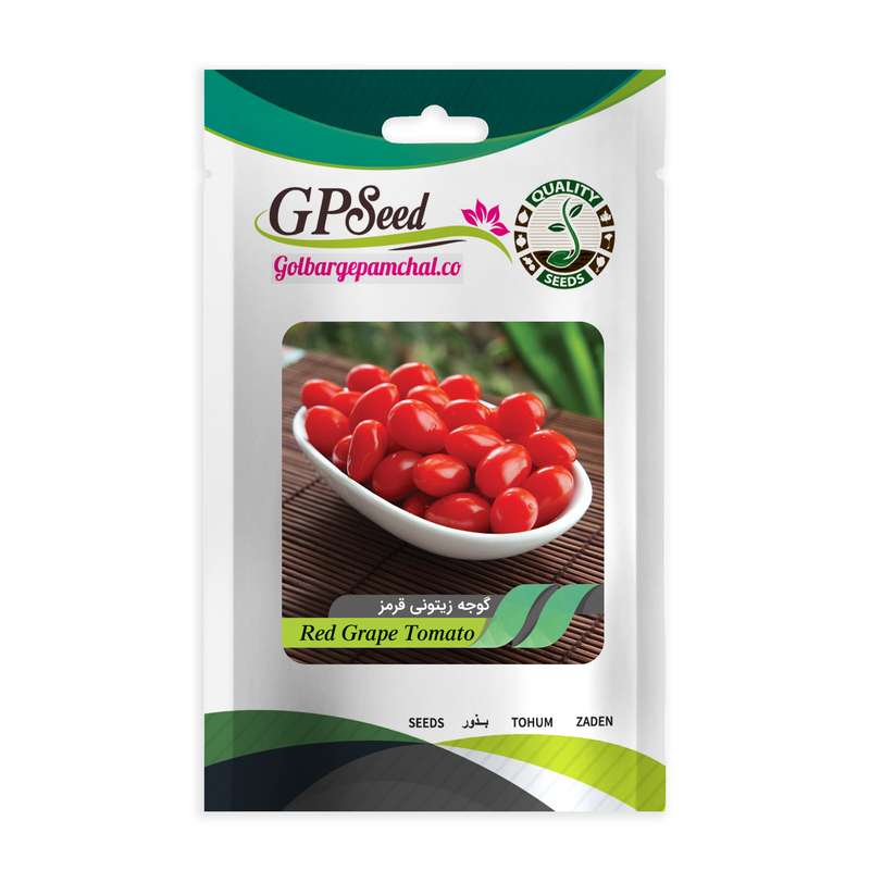 بذر گوجه چری زیتونی قرمز گلبرگ پامچال کد GPF-200