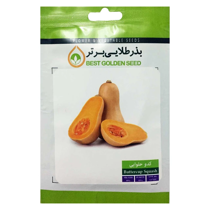 بذر کدو حلوایی بذر طلایی برتر کد BZT-69