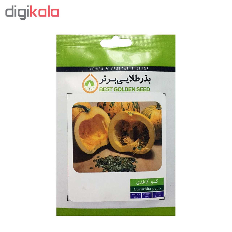 بذر کدو کاغذی بذر طلایی برتر کد BZT-70