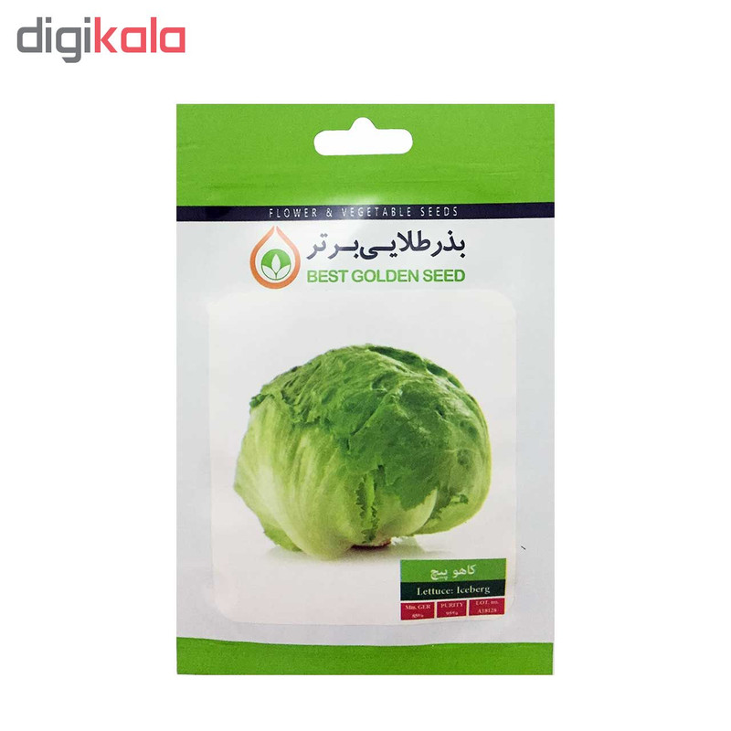 بذر کاهو پیچ بذر طلایی برتر کد BZT-71