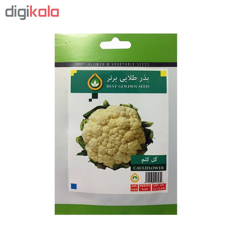 بذر گل کلم بذر طلایی برتر کد BZT-75