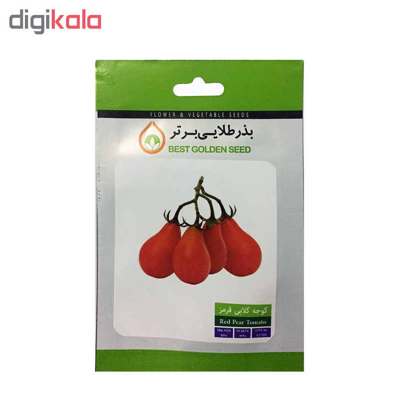 بذر گوجه گلابی قرمز بذر طلایی برتر کد BZT-81 بذر گوجه گلابی قرمز بذر طلایی برتر کد BZT-81