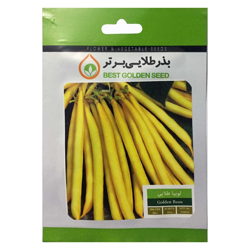 بذر لوبیا طلایی بذر طلایی برتر کد BZT-83