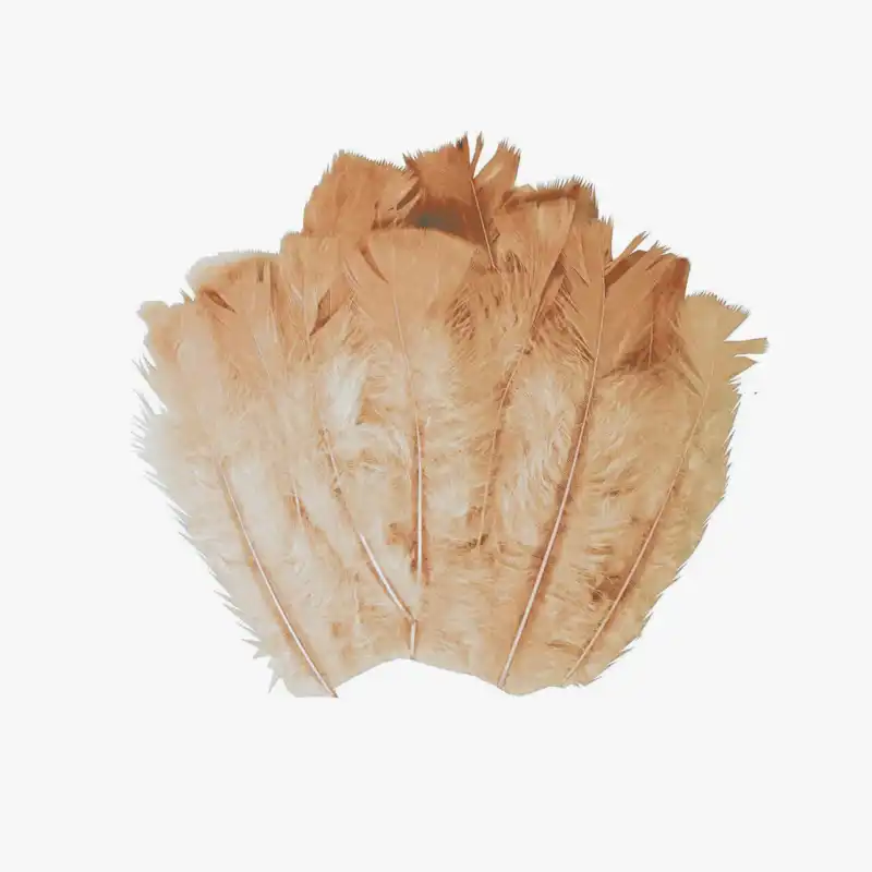 پر دریم کچر مدل GH52 بسته 20 عددی