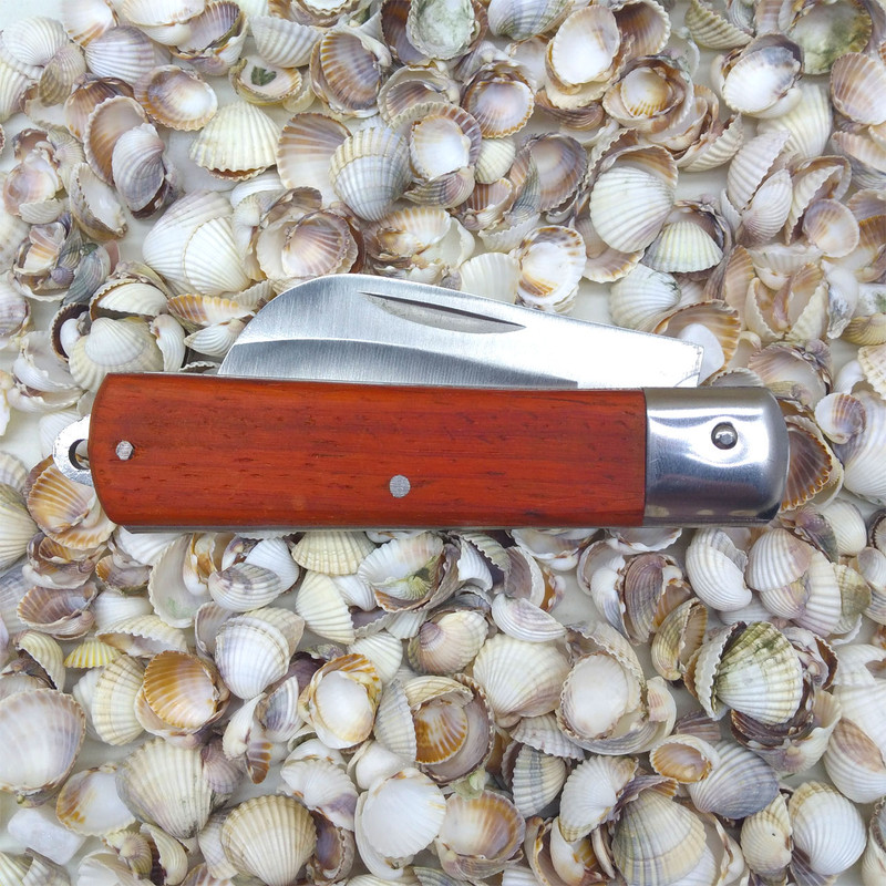 چاقو پیوند زنی مدل  TG0180