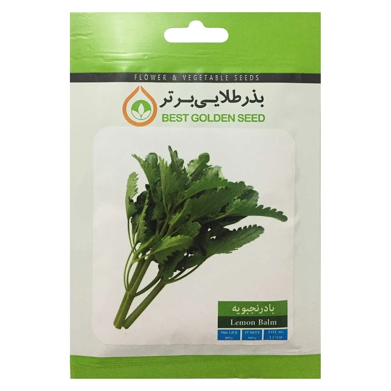 بذر بادرنجبویه بذر طلایی برتر کد BZT-88