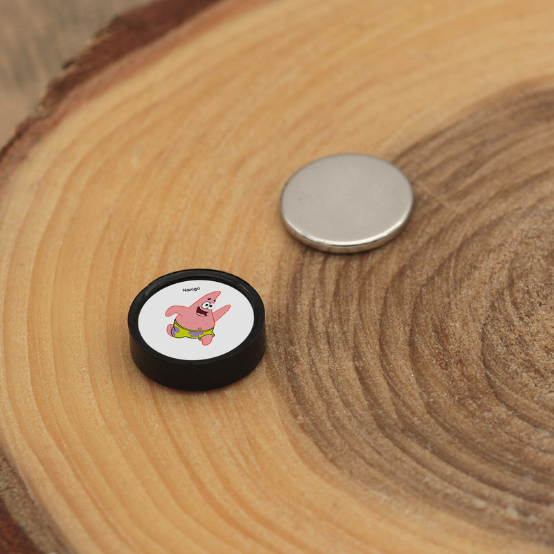 پیرسینگ گوش ناکسیگو مدل شب تاب طرح پاتریک کد PM6484