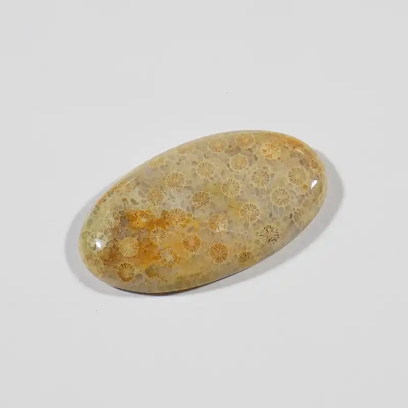 سنگ فسیل مرجان کد TG6525