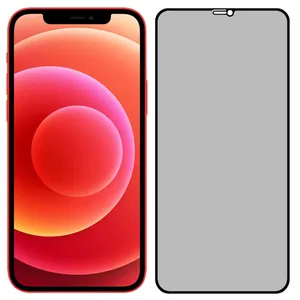 محافظ صفحه نمایش حریم شخصی مدل PRV مناسب برای گوشی موبایل اپل iPhone 12 Mini