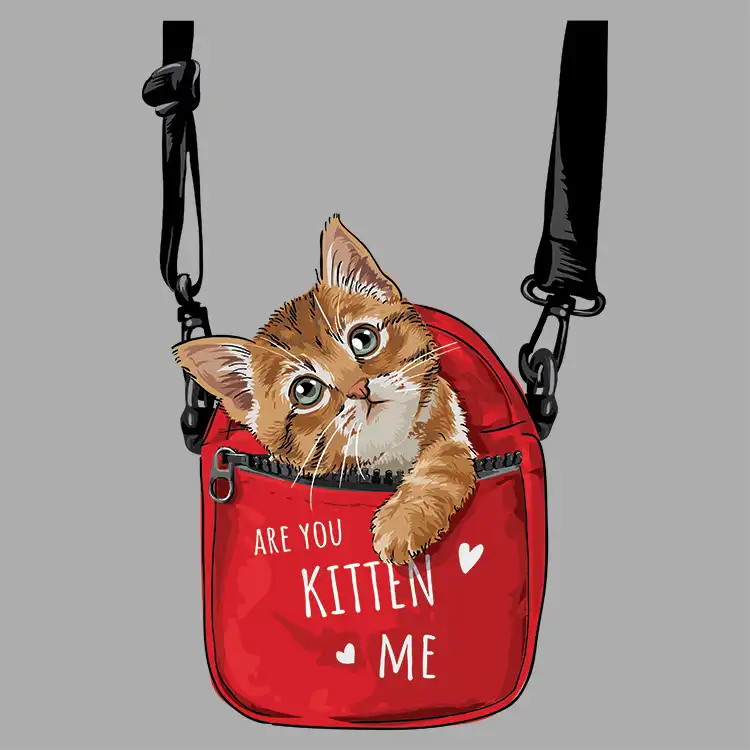 استیکر پارچه و لباس مدل دی تی اف طرح جیبی کد H10.405 مجموعه 5 عددی