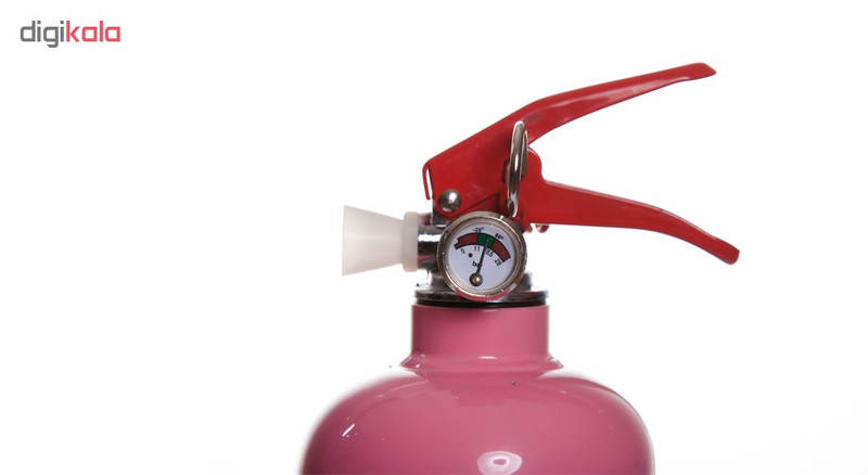 کپسول آتش نشانی پودر و گاز سام 1 کیلوگرم