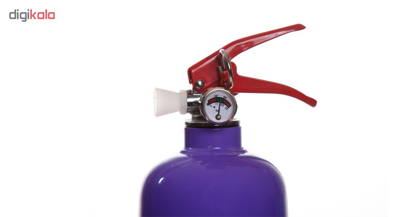 کپسول آتش نشانی سام پودر و گاز 1 کیلوگرم