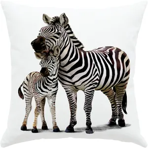 S3-10857 Cushion big size