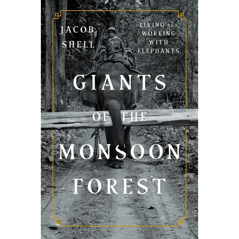 کتاب Giants of the Monsoon Forest اثر Jacob Shell انتشارات W. W. Norton & Company