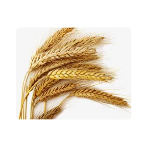 ماوس پد اطلس آبی طرح خوشه گندم  مدل T7029