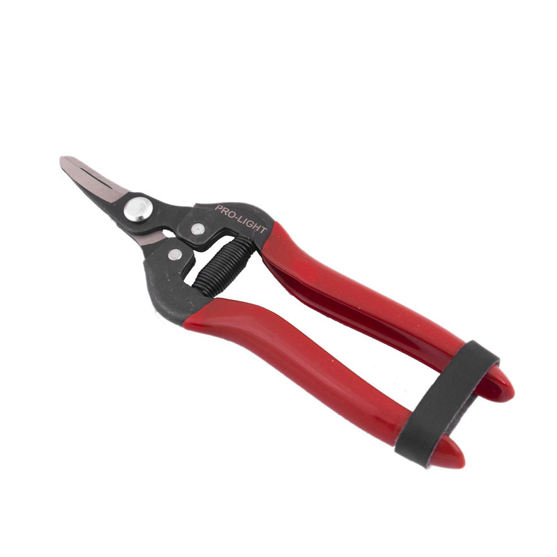 قیچی میوه چینی لایت کد JVTE0017