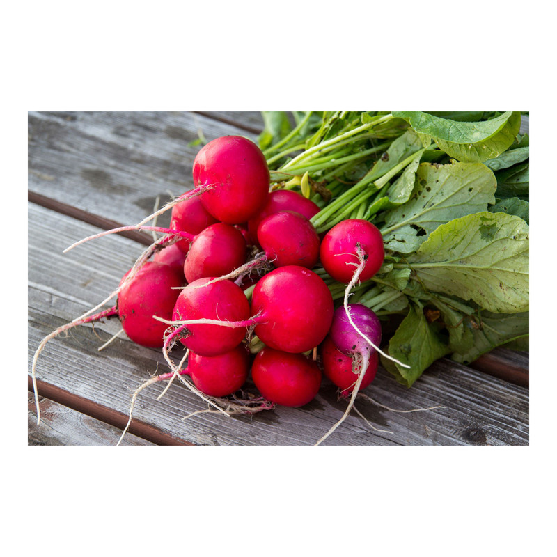 بذر تربچه گرین فارم کد TRBCH 11 بسته 2 عددی