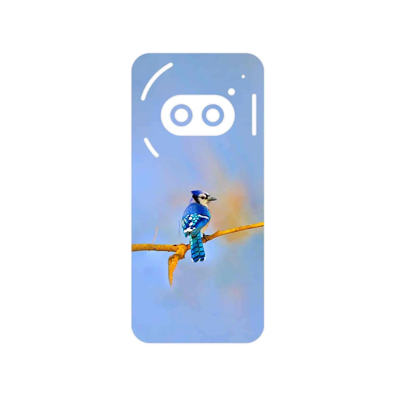 برچسب پوششی ماهوت مدل Cyanocitta cristata مناسب برای گوشی موبایل ناتینگ Phone 2a