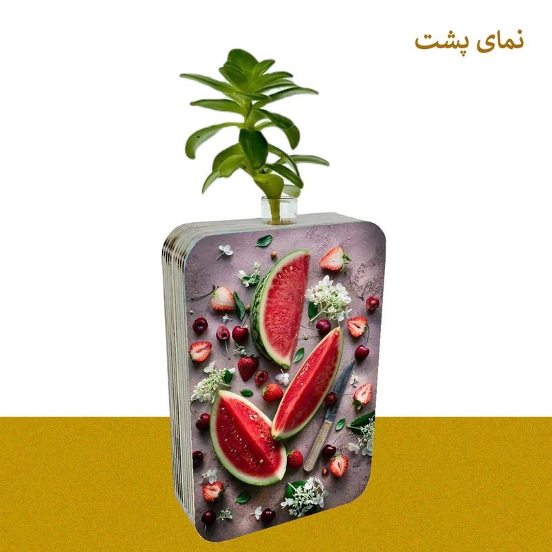 عکس شماره 3